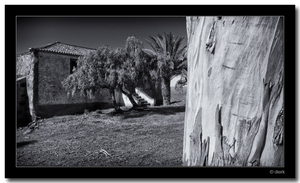 Uber Exif Photo