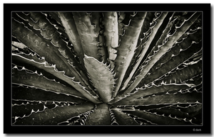 Uber Exif Photo