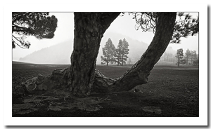 Uber Exif Photo