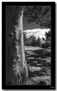 Uber Exif Photo