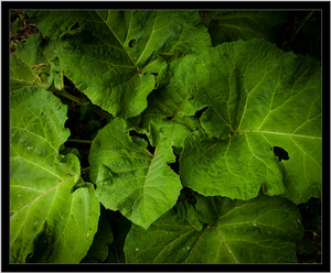 Uber Exif Photo