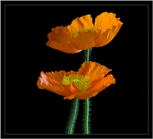 Uber Exif Photo