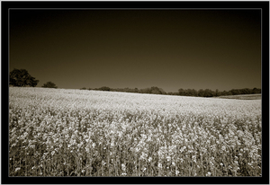 Uber Exif Photo