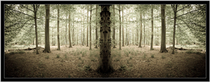 Uber Exif Photo