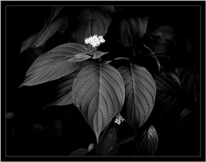 Uber Exif Photo