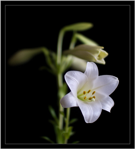 Uber Exif Photo