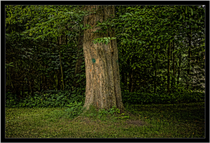 Uber Exif Photo
