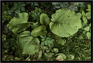 Uber Exif Photo