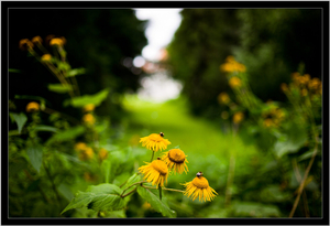 Uber Exif Photo