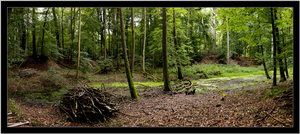Uber Exif Photo