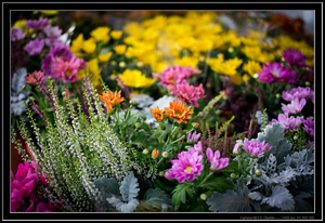Uber Exif Photo