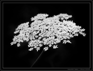 Uber Exif Photo