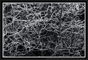 Uber Exif Photo