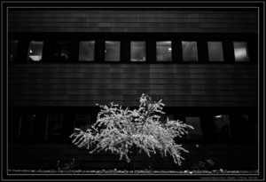 Uber Exif Photo