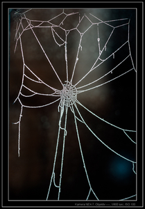 Uber Exif Photo