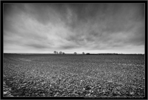 Uber Exif Photo