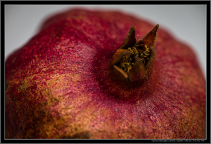 Uber Exif Photo