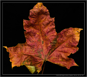 Uber Exif Photo