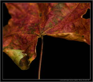 Uber Exif Photo