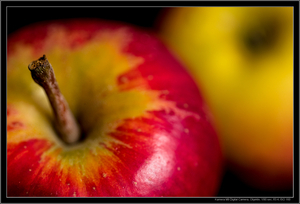 Uber Exif Photo