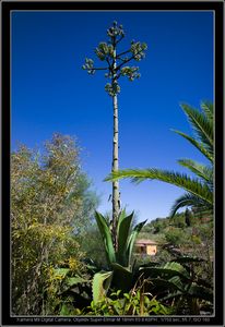 Uber Exif Photo