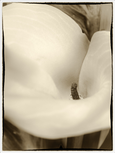 Uber Exif Photo