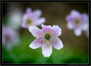 Uber Exif Photo