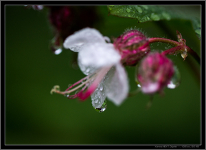 Uber Exif Photo