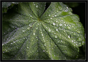 Uber Exif Photo