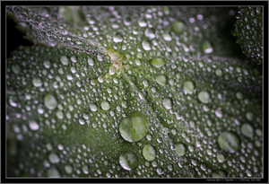 Uber Exif Photo