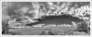 Uber Exif Photo