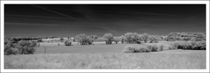 Uber Exif Photo