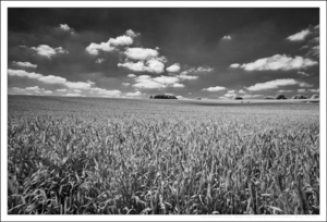 Uber Exif Photo