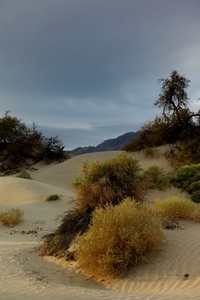 Uber Exif Photo