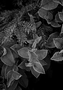 Uber Exif Photo
