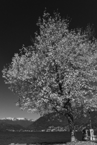 Uber Exif Photo