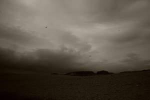 Uber Exif Photo