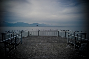 Uber Exif Photo