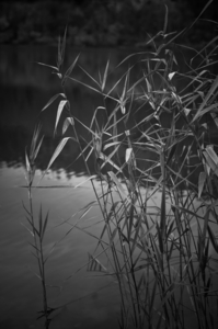Uber Exif Photo