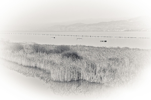Uber Exif Photo
