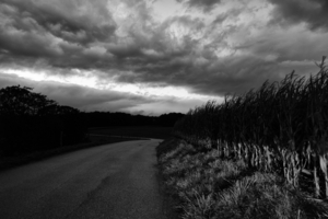 Uber Exif Photo