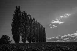 Uber Exif Photo