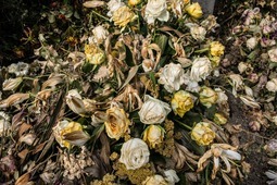 Uber Exif Photo