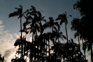 Uber Exif Photo