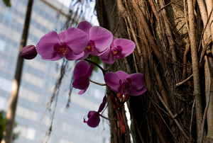 Uber Exif Photo