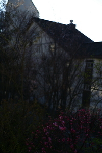 Uber Exif Photo