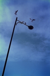 Uber Exif Photo