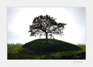 Uber Exif Photo