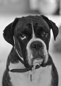 Uber Exif Photo