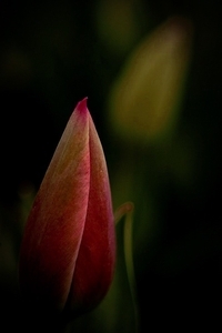 Uber Exif Photo